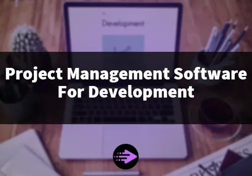 project management software development