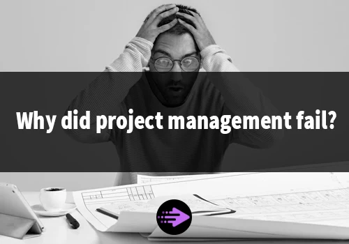 Why did project management fail