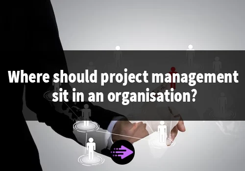 Where should project management sit in an organisation