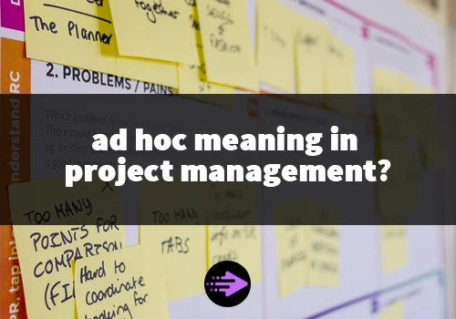 ad hoc meaning in project management