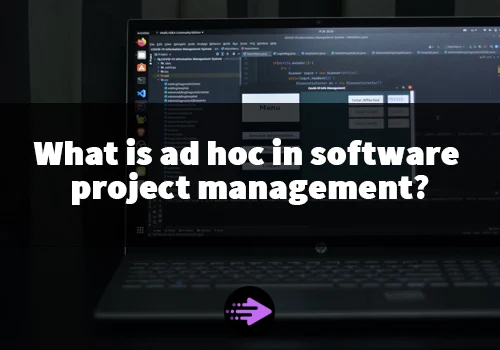 ad hoc in software project management