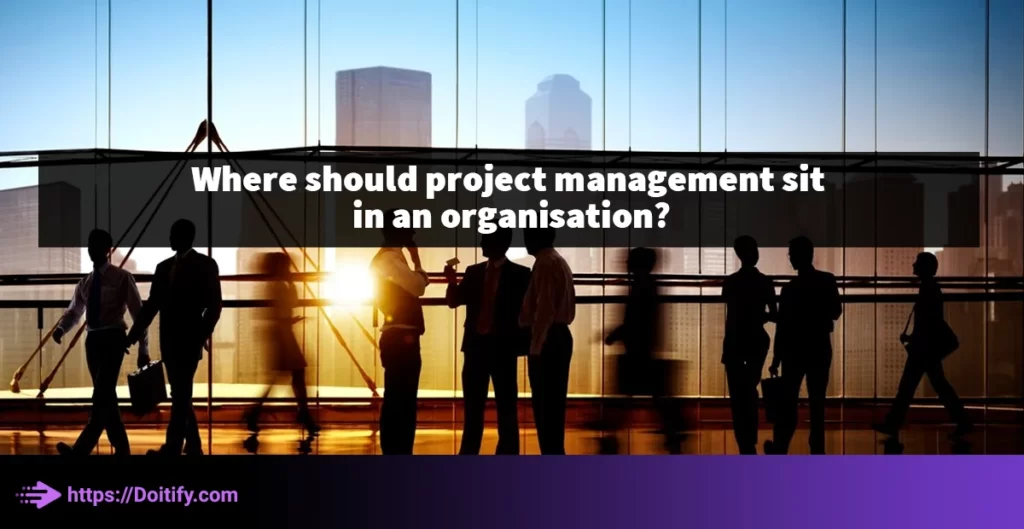 Where should project management sit in an organisation